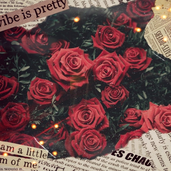 Meet your Posher, Dw_love_ - Picture 1 of 1